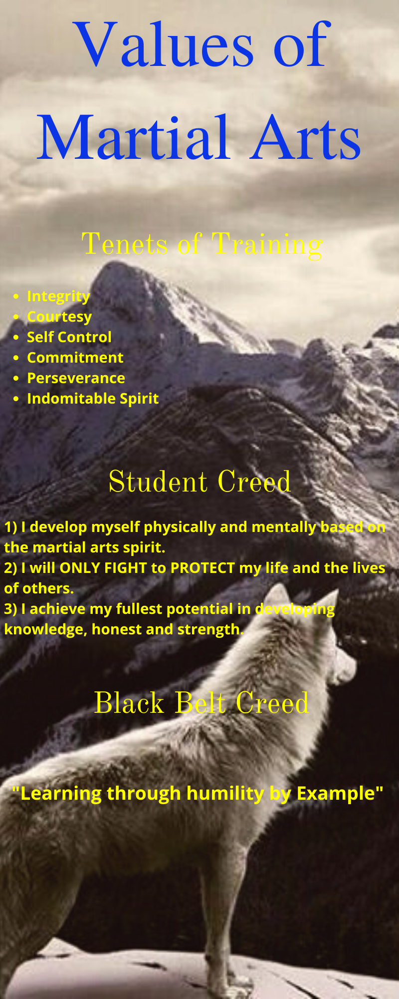 * Values of the Peaceful Warriors