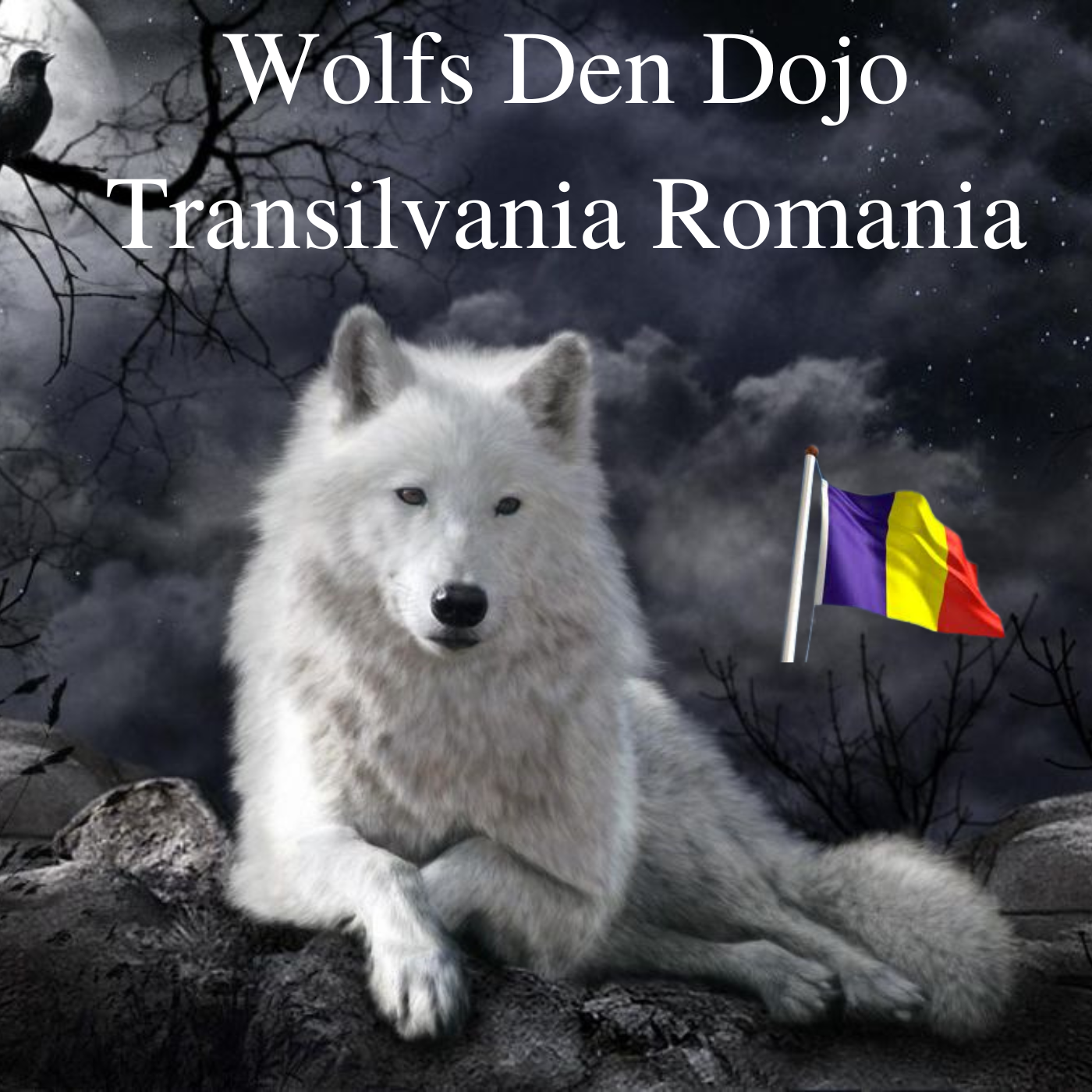 Wolf's Den Dojo Romania